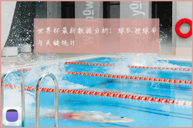 世界杯最新数据分析:球队控球率与关键统计