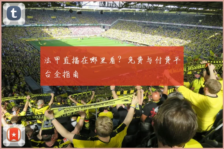 法甲直播在哪里看？免费与付费平台全指南