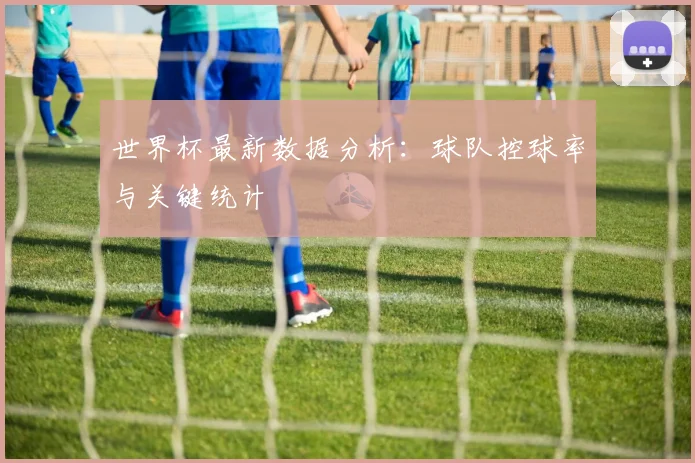 世界杯最新数据分析：球队控球率与关键统计