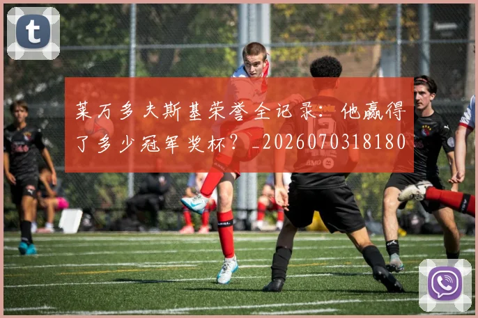 莱万多夫斯基荣誉全记录:他赢得了多少冠军奖杯?_20260703181809