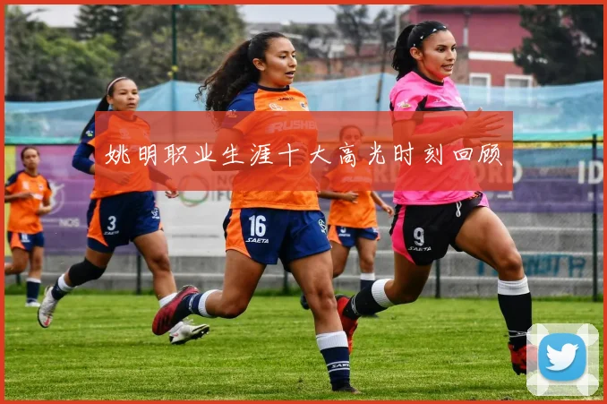 姚明职业生涯十大高光时刻回顾