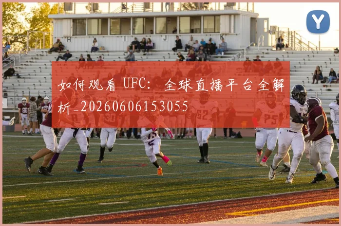 如何观看 UFC:全球直播平台全解析_20260606153055