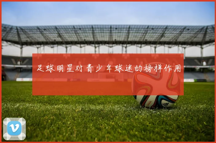足球明星对青少年球迷的榜样作用