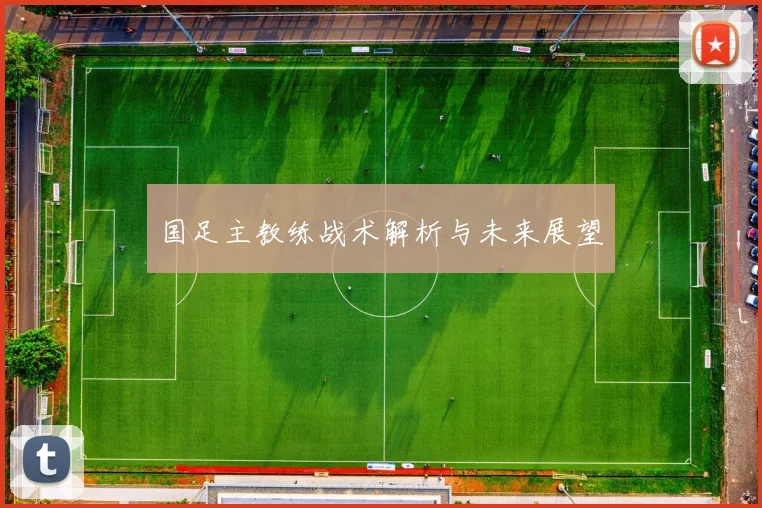 国足主教练战术解析与未来展望